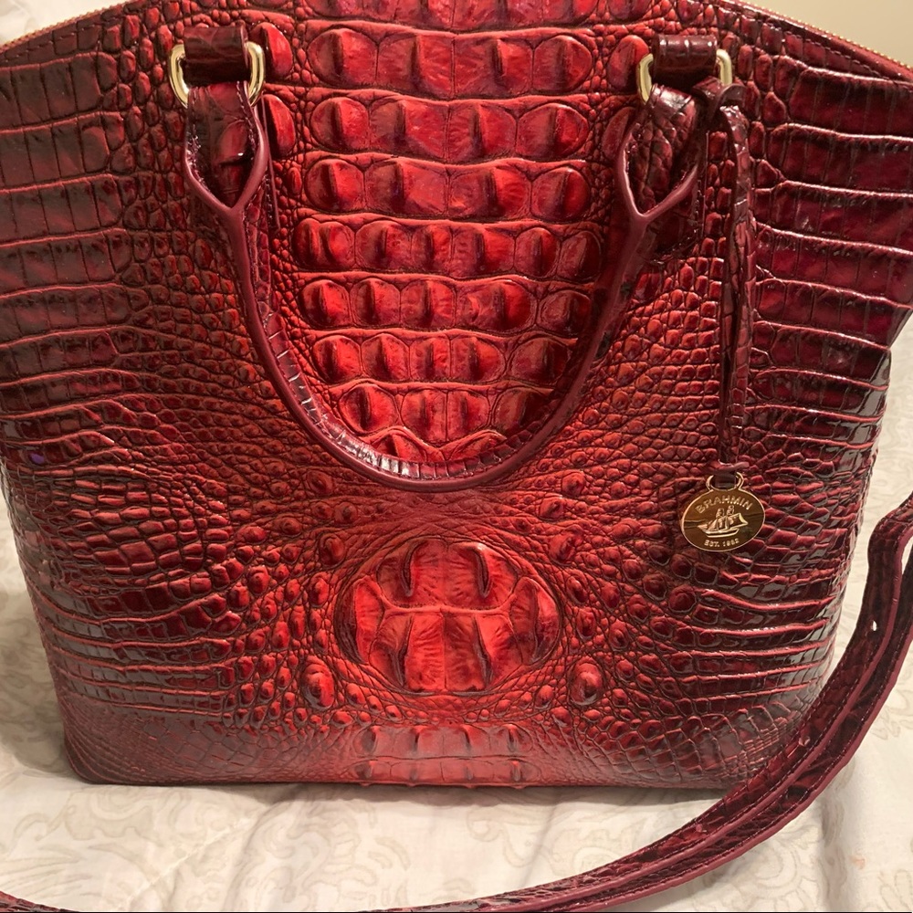 Gently used Brahmin